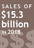 Illustration indicating sales of $15.3 billion in 2018 