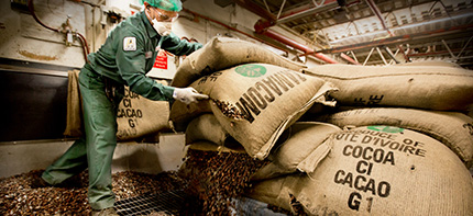 Photo of a Barry Callebaut employee handling bags of cocoa