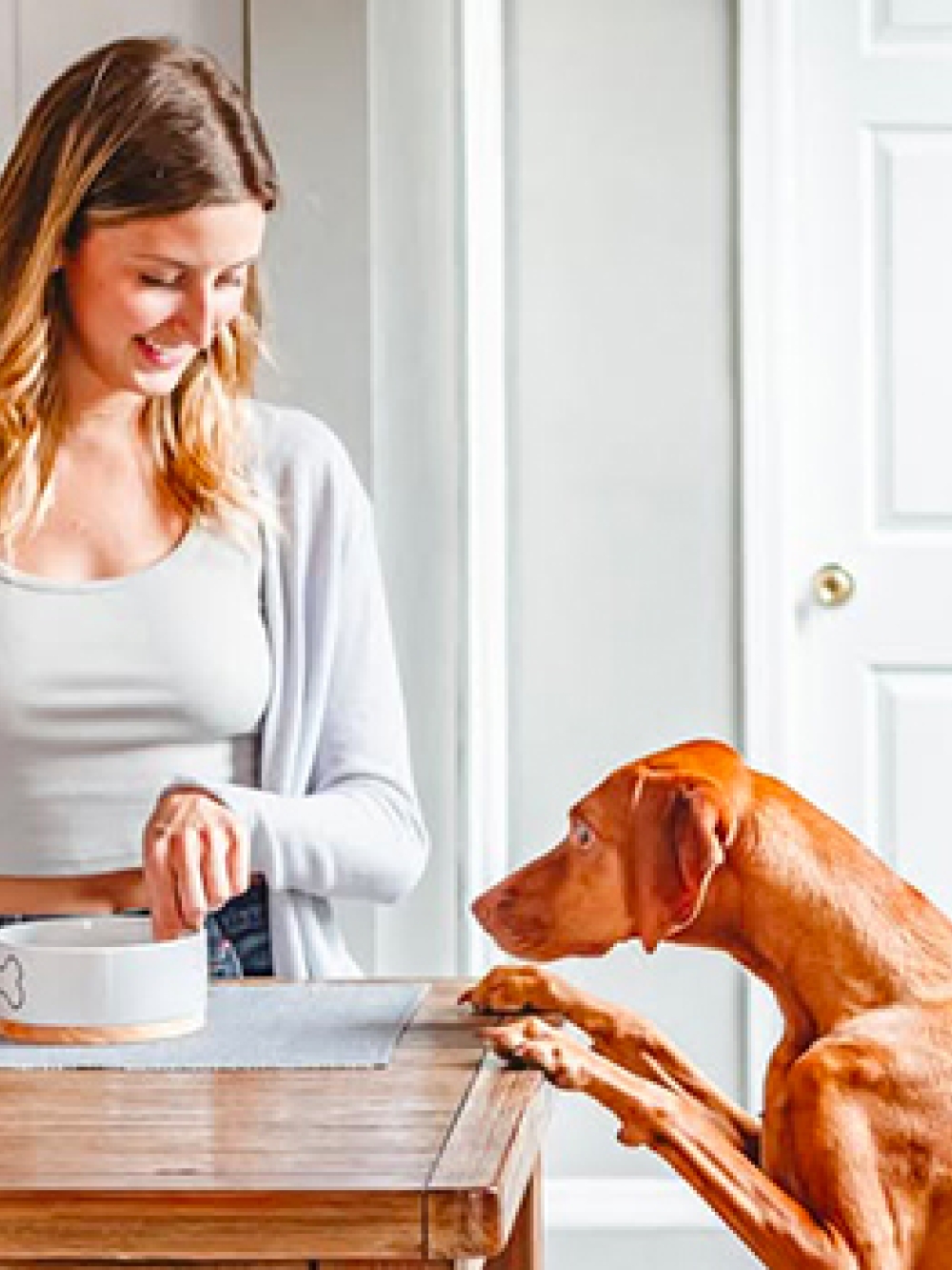 Personne dans une cuisine préparant de la nourriture pour chien sur un comptoir, avec un chien assis en face et des produits pour animaux posés à côté.